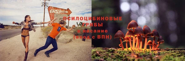 молекула духа Остров