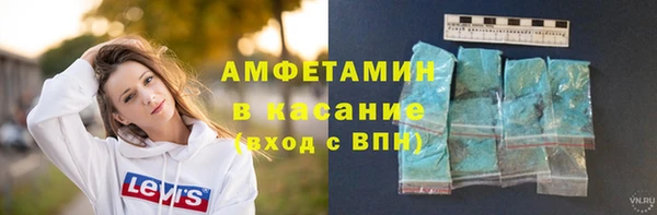 крисы Алексин