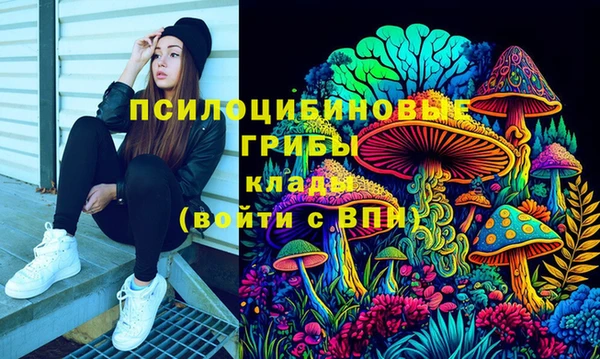 сатива Алзамай