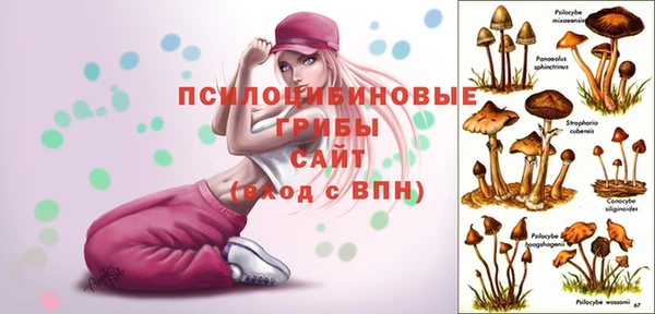 сатива Алзамай